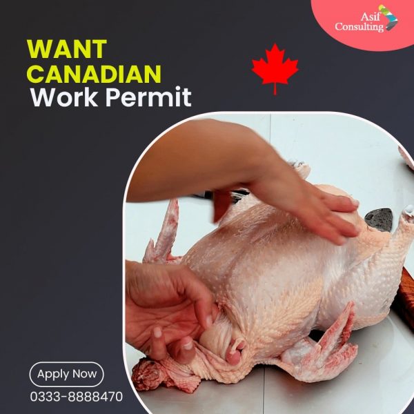 Want Canadian Work Permit