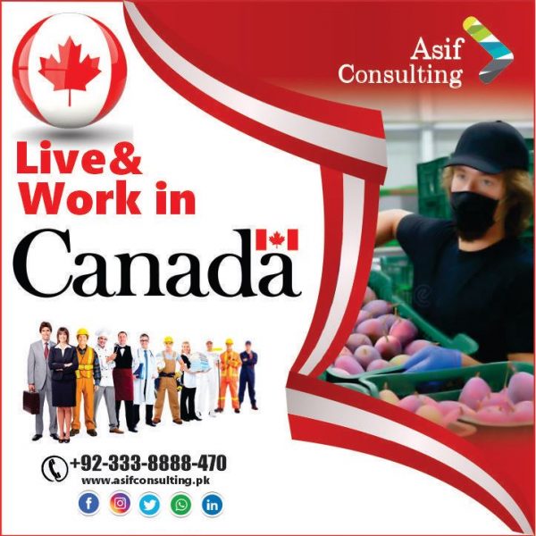 Live & Work In Canada